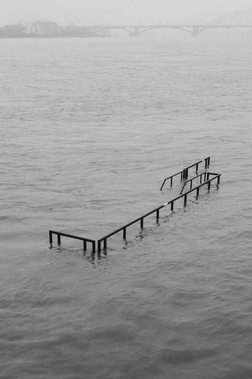 theflood